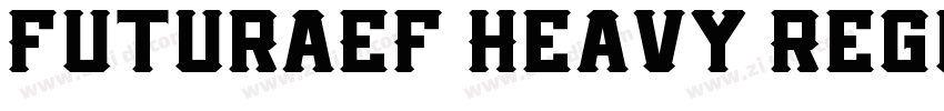 FuturaEF Heavy Regul字体转换
